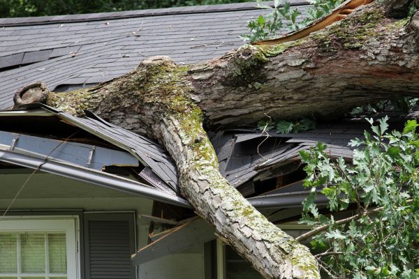 Storm Remediation in Troy