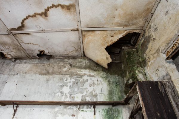 Water Damage Service in Troy