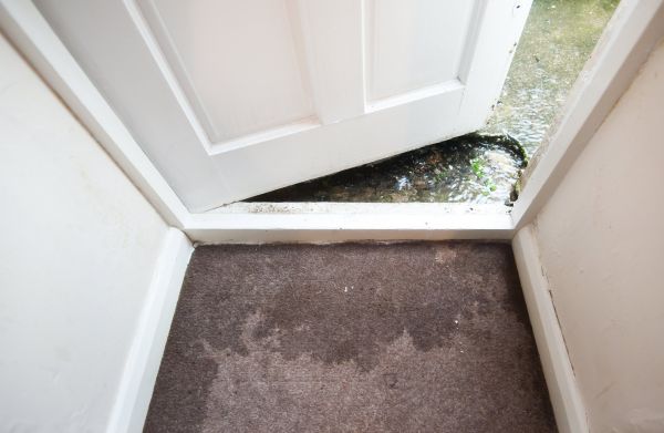 Cost of Wet Carpet Restoration in Troy