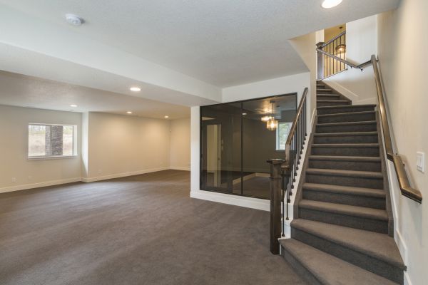 Basement Restoration Service in Troy