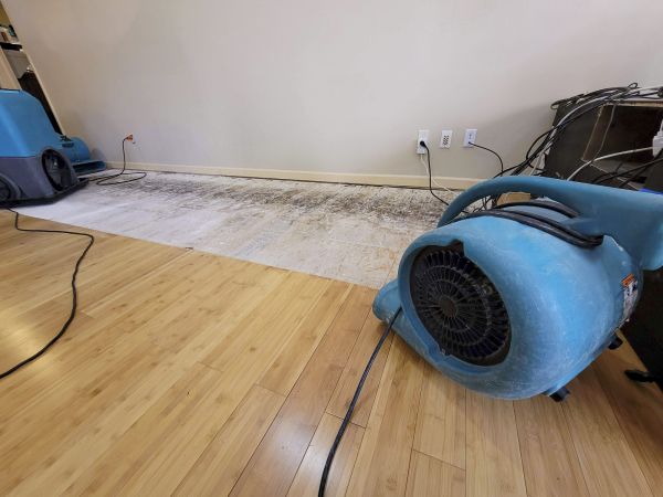 Water Damage Mitigation in Troy