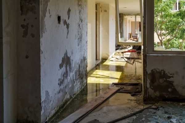 Cost of Water Removal Service in Troy