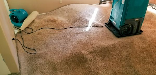 Cost of Carpet Water Extraction in Troy