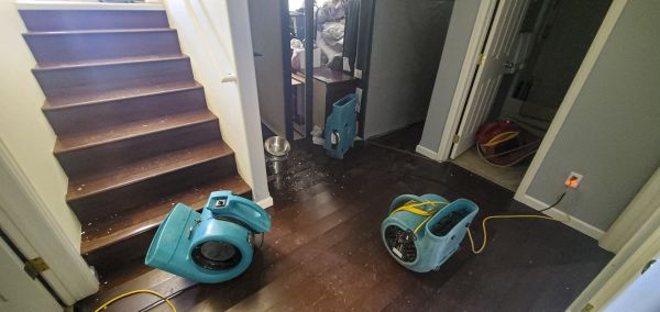 Water Damage Remediation in Troy