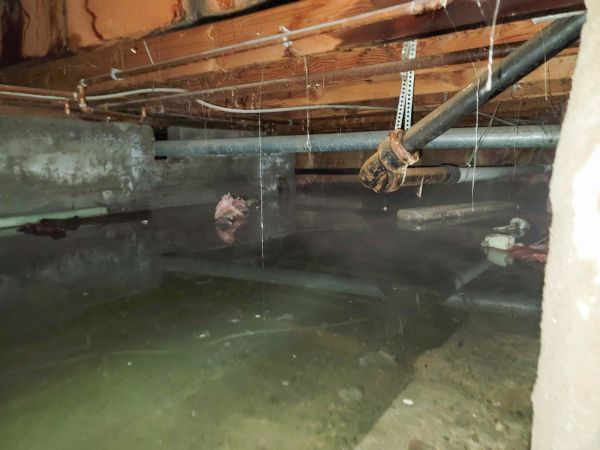 Water Mitigation Service in Troy