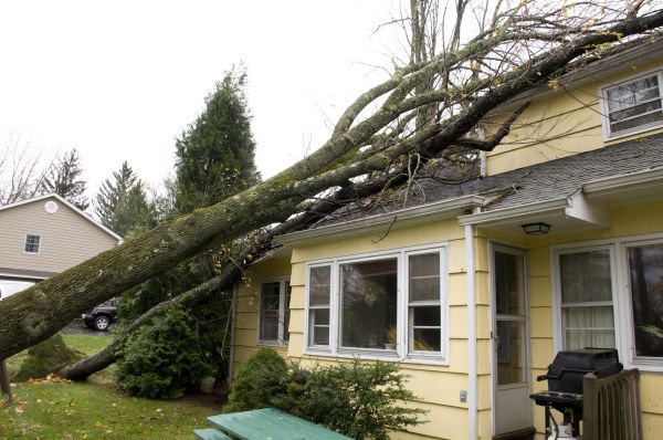 Hurricane Damage Repair in Troy