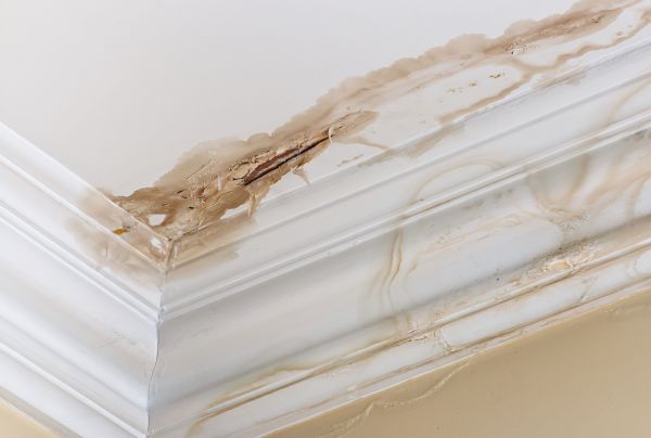 Water Damage Recovery in Troy