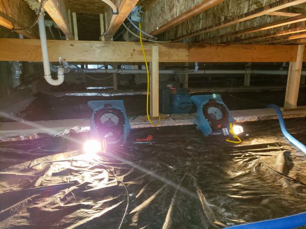 Cost of Crawlspace Water Removal in Troy